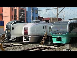 いろいろな特急列車や観光列車がやってくる伊豆急下田駅