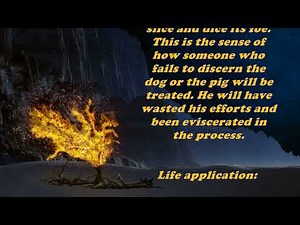 Daily Bible Verse Commentary - Matthew 7:6