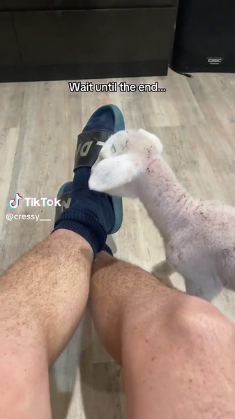 Best Friends: Making the Right Choice Together