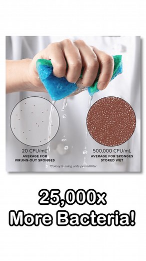 Wring out your sponges! Trust us. #howto #kitchenhacks #sponges #spongesqueezing #americastestkitchen #testkitchen