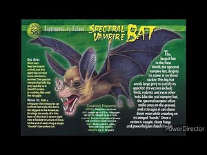 spectral vampire bat sound effects