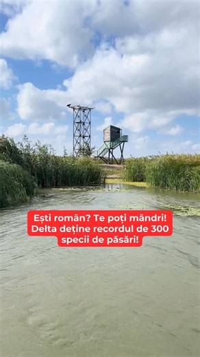 #codalb #vultur #deltadunarii #allinclusive | Gulliver Delta Resort