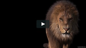 Houdini 17 Sneak Peek