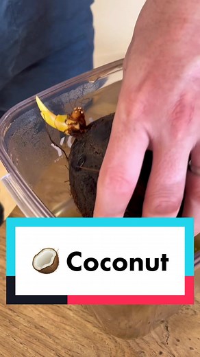 Pierre le cultivateur sur TikTok