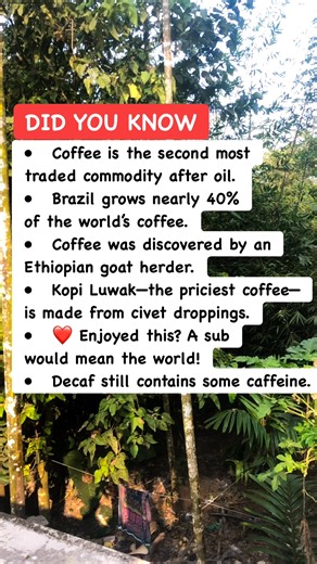 22K views · 35 reactions | ☕ Crazy Coffee Facts That’ll Shock You! #CoffeeFacts #FunFacts #facts | World Of Animals | Facebook