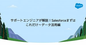 サポートエンジニアが解説！Salesforceまずはこれだけ～データ活用編｜Salesforce サクセスナビ
