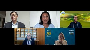 Strengthening national governance to accelerate agrifood systems transformation