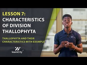 Characteristics of Living things- Lesson 7: Characteristics of Division Thallophyta with examples