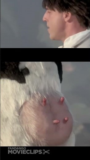 Man vs. Cow: Udder Chaos and Hilarious Tumbles!