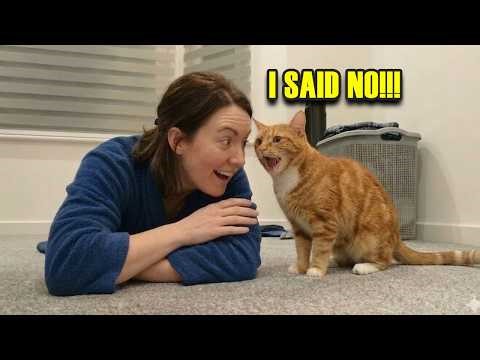 My Cat Just Said ‘NO’ Like a Human… I’m DONE 😂🐱