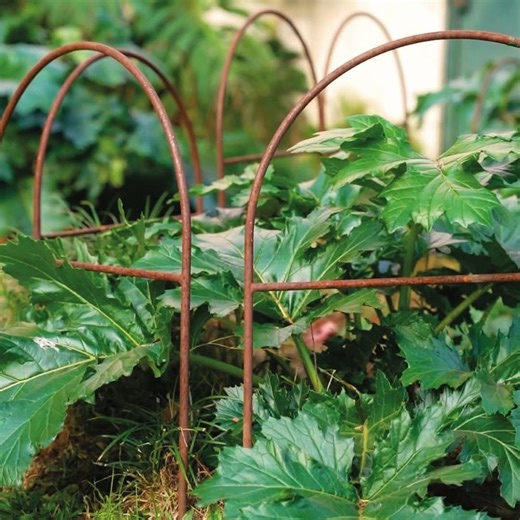Metal Garden Border Fence: Medium Size, 25.6" Tall, Black Coated or Rustic Steel - Etsy