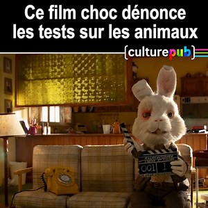 Une poignante campagne de sensibilisation en stop motion qui nous invite dans le quotidien de Ralph, un lapin testeur de produits cosmétiques. #CultureCauses | Culture Pub