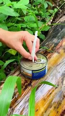 Outdoor smarts! Camping tips & tricks for every explorer!