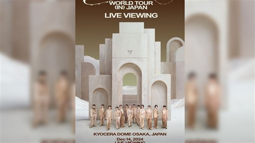 【HDTV】【韩国】SEVENTEEN [RIGHT HERE] WORLD TOUR IN JAPAN 东京巨蛋演唱会 2024 - 8.9GB