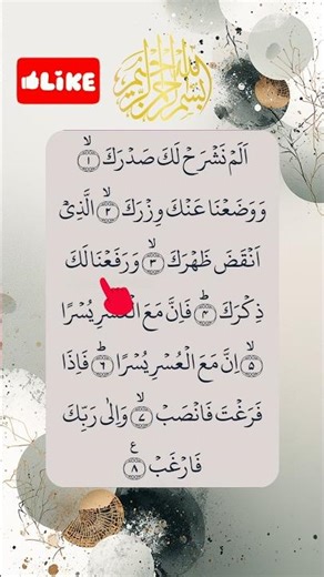 SURAH AL-INSIRAH 🌹 سورة الشرح#egzonibrahimi #quranrecitation #surahsharh