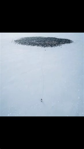 Choose Your Own Path #selfimprovement #successmindset #shorts #motivationalshorts #lifelessons #fyp