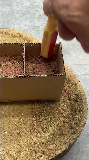 Don't throw away sawdust! Boil it – this hidden treasure will surprise you!