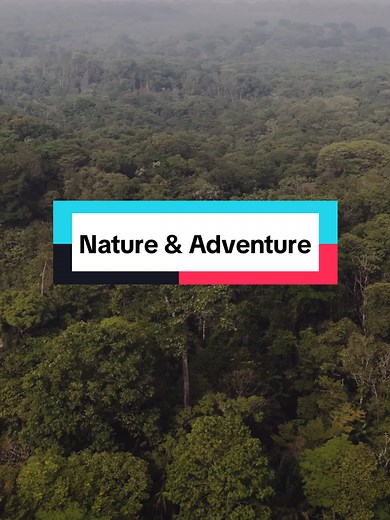 Explore the Amazon forest with Natventure Expeditions. • • #travel #adventure #nature #wild #trip #natventurexpeditions #fyp