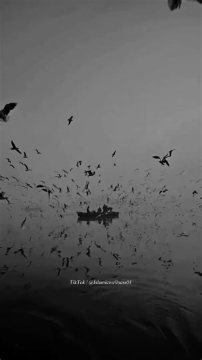 muslim preaching (@muslim.preaching)’s videos with original sound - muslim preaching