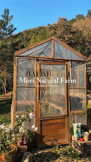 Radar List on Instagram: "#RadarList: Mori Natural Farm holds a special place in our hearts. On our recent visit, this farm stay–slash–café in Mae Rim offered exactly the calm and serenity we didn’t know we needed. . . . . . Reel credit: @he.the.bard #OnTheRadar #UnderTheRadar #ChiangMai #Thailand"