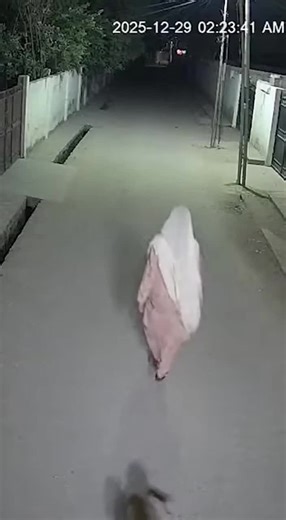 Discovering Insights About Monkeys in Nature