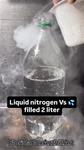 FloridaFox Anthill Art on Instagram: "Liquid nitrogen Vs 💦filled 2 liter #science #satisfying #experiment #asmr #liquidnitrogen"