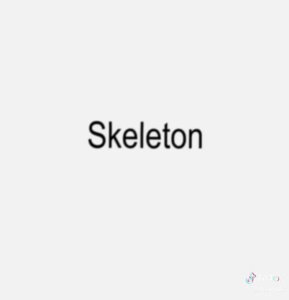 Playboi Carti's Skeleton: An In-Depth Review