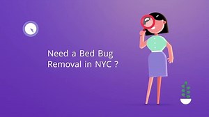 OCP Bed Bug Removal in NYC | 646-760-6617