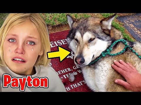 8 YouTubers SADDEST MOMENTS Caught on Video! (Payton Delu, Ninja Kidz TV, Salish Matter)
