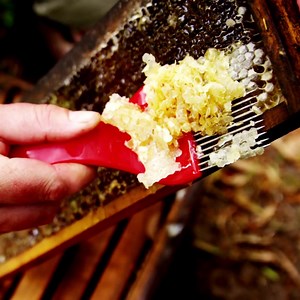 1.3K views · 28 reactions | Cappings wax is the purest grade of beeswax and is reserved for things were purity is important! What do you use yours for? abelo.co.uk | Abelo | Facebook