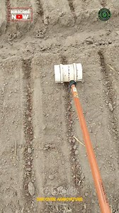 🌱 Looking to make seed sowing easier? Try this homemade DIY tool! Simply crafted from materials you may already have at home, it helps create perfect little spaces for your seeds to grow. This practical and sustainable solution can be customized to suit your gardening needs. Not only does it save money by using recycled materials, but it also gives you a fun project to work on before the planting season begins. Give it a try and watch your garden flourish with precision and care! #seed #seedsow