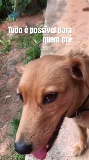 O poder do subconsciente