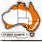 Creeping Fig - Burke's Backyard