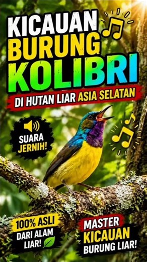🌈 Beautiful Hummingbird Singing in the Wild Forests of South Asia 🐦🎶 #shorts