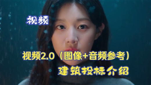 视频-超能视频2.0（图像 音频参考）建筑投标介绍