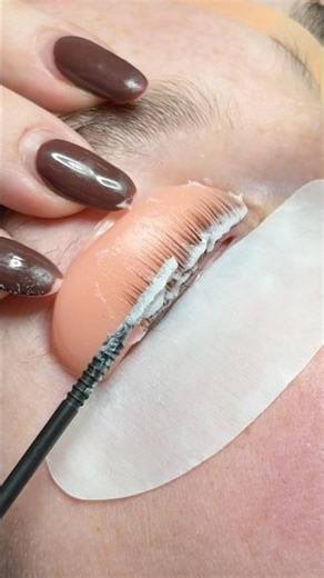 Korean lash lift using Accent Shields