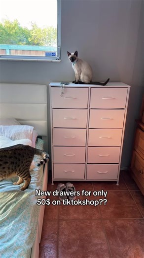 Affordable Room Decor Ideas from TikTok Shop