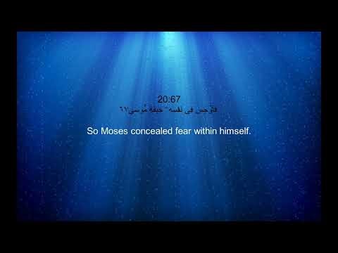 Sheikh Noreen Muhammad Siddiq - Surah 20 Taha / الشيخ نورين محمد صديق - سورة ٢٠ طه