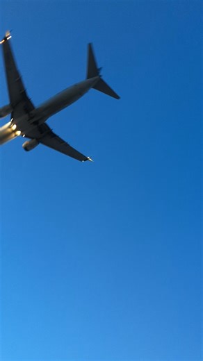West Jet B38M landing at Vancouver International Airport from MZT #yvrplanespotting #aviation