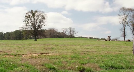 ALVIN ÉS A MÓKUSOK 4 A MÓKÁS MENET (2015).mp4