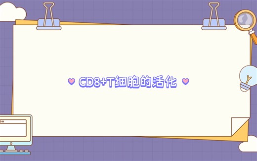 【免疫】CD8+T细胞的活化