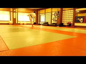 Shotokan Karate Grading Syllabus 3rd Kyu to 2nd Kyu