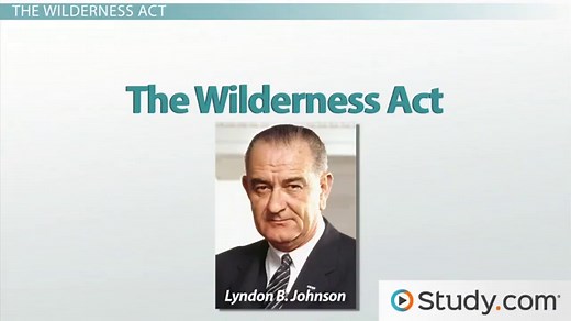 Wilderness Definition, Classification & Act