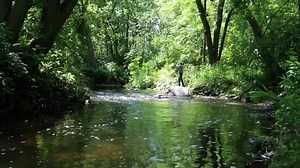 9.9K views · 13 reactions | Take 30 seconds to discover why it's greener here in Middleton! | Visit Middleton | Facebook