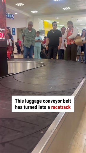 Straight out of the cartoon 😅🤣 | WTVideo