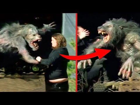 Most Horrifying Camping Experiences Caught on A Camera