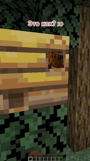 Julia angry bees in minecraft!