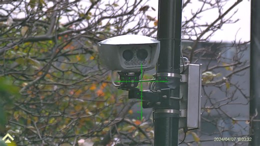 Markg Steele on Reels