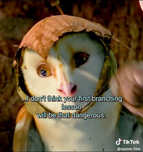 Owls: The Silent Hunters - Anime Movie Clips