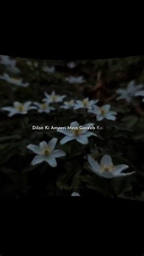 Koi na ❤️ || Lyrics Edit || #shorts #trending #lyricalstatus #reels #songs